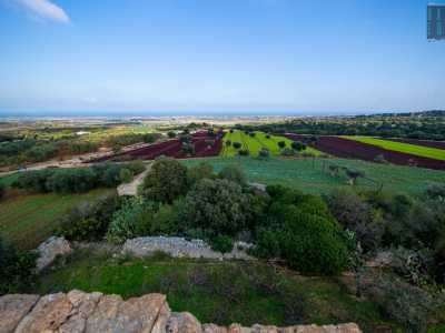 Saliamo ancora fino a raggiungere il terrazzo e da qui possiamo ammirare tutta la campagna circostante, puntellata da campi coltivati, ulivi e macchia mediterranea che si espande sino al mare
